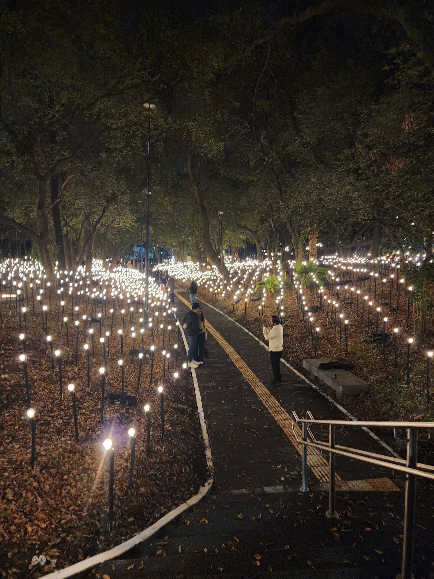 Rafael Lozano-Hemmer exhibition , Museo de Arte Moderno, Mexico city