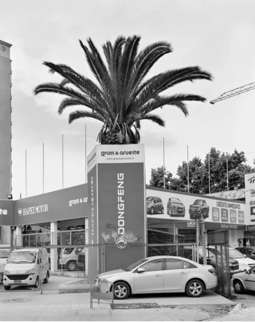 Quasi Oasis 07, 2013