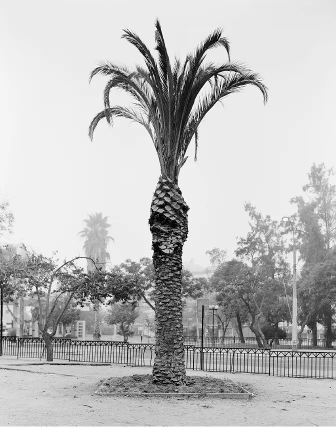 Quasi Oasis 15, 2013