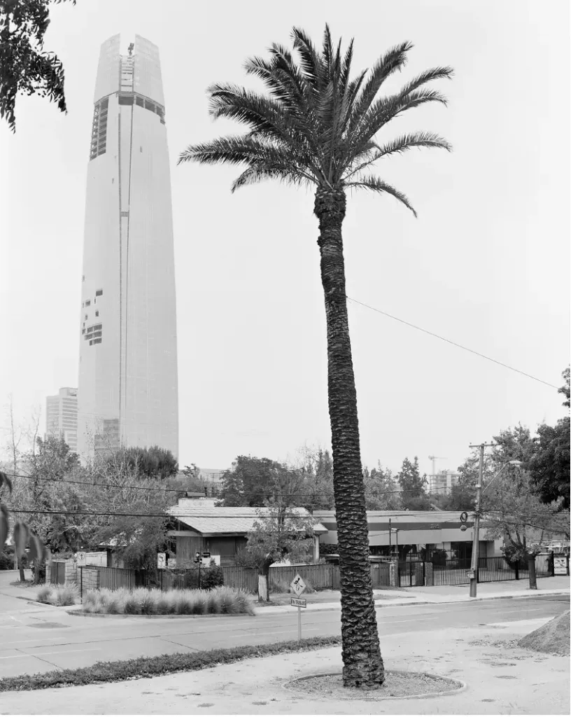 Quasi Oasis 05, 2013